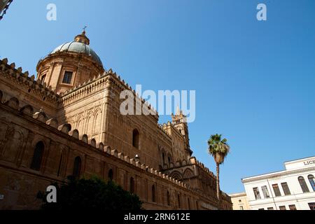 Vista esterna, obliqua dal basso, grandangolo, palma, cattedrale, cattedrale Maria Santissima Assunta, Cattedrale Normanna, Palermo, capitale, SIC Foto Stock