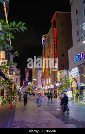 Bar, ristoranti e negozi con insegne al neon, night shot, Asakusa, Taito City, Tokyo Foto Stock