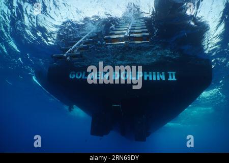 Safari boat, diving boat, Livaboard Golden Dolphin II, da sotto, scala, uscita. Sito di immersione Umm Aruk, Saint Johns, Egitto, Mar Rosso, Africa Foto Stock