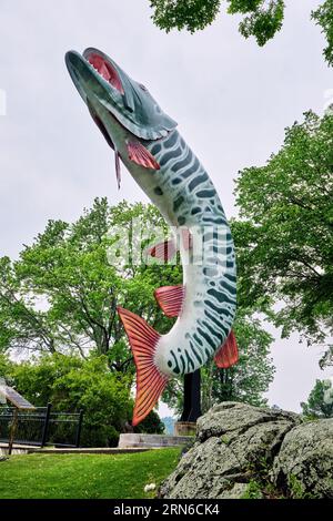 Con i suoi 40 metri di altezza, Huskie the Muskie è una scultura all'aperto di un muskellunge nel McLeod Park di Kenora, Ontario. La pesca è un'attività popolare nell'ar Foto Stock