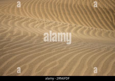 Texturas en Maspalomas. Las dunas están vivas y se mueven. EN realidad, el aire lleva la arena de un lugar a otro y les da diferentes formas. Gran CAN Foto Stock