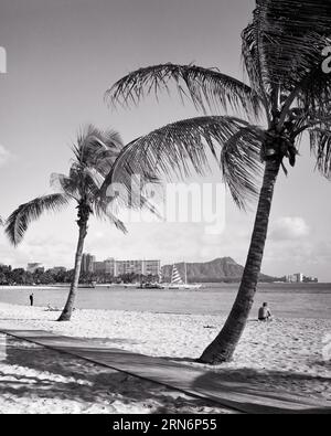 1960s PALM TREES ON BEACH HANAUMA BAY WAIKIKI HONOLULU OAHU HAWAII WITH DIAMOND HEAD IN DISTANCE - r20982 HAR001 HARS HAR001 HAWAIIAN ISLANDS OLD FASHIONED Stock Photo