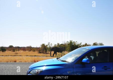 (150813) -- GABORONE, 13 agosto 2015 -- un elefante cammina lungo l'autostrada vicina a nata, Botswana settentrionale, il 7 agosto 2015. La maggior parte dei parchi nazionali del Botswana, delle riserve e delle aree di gestione della fauna selvatica sono senza recinzione, consentendo agli animali di vagare in libertà e in libertà. Viaggiare per il paese potrebbe incontrare animali selvatici sulla strada. ) BOTSWANA-WILDLIFE-ROAD LyuxTianran PUBLICATIONxNOTxINxCHN 150813 Gaborone 13 agosto 2015 fino a Elephant Walks lungo l'autostrada vicina nata Northern Botswana 7 agosto 2015 la maggior parte dei parchi nazionali del Botswana riserve e aree di gestione della fauna selvatica non sono recintate consentendo agli animali di vagare selvatiche Foto Stock