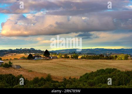 Panoramica Di Meadows Intorno A Chonchi, Chiloe Island, Cile Foto Stock