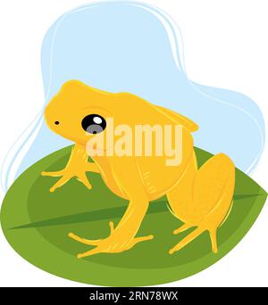 Vettoriale animale con rospo colorato isolato Illustrazione Vettoriale