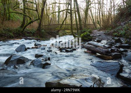 Ponte escursionistico sul fiume Bridal Veil a valle delle Bridal Veil Falls vicino Portland Oregon Foto Stock