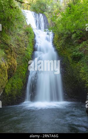 Cascate Bridal Veil situate vicino a Portland, Oregon Foto Stock