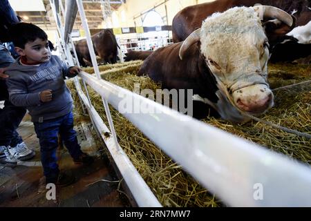 (150914) -- MONTEVIDEO, 13 settembre 2015 -- Un ragazzo guarda un toro durante il 110° Expo Prado 2015 presso il Rural del Prado Exposition Grounds di Montevideo, capitale dell'Uruguay, il 13 settembre 2015. L'expo, con una storia di oltre un secolo, ha mostrato 2.500 animali di 95 razze. Nicolas Celaya) (da) (ce) URUGUAY-MONTEVIDEO-EXPO PRADO e NICOLASxCELAYA PUBLICATIONxNOTxINxCHN 150914 Montevideo 13 settembre 2015 a Boy Looks AT a Bull durante la 110a EXPO Prado 2015 PRESSO il Rural del Prado Exposure Grounds a Montevideo capitale dell'Uruguay IL 13 settembre 2015 è stata mostrata l'EXPO con una storia di oltre un secolo 2 500 AN Foto Stock