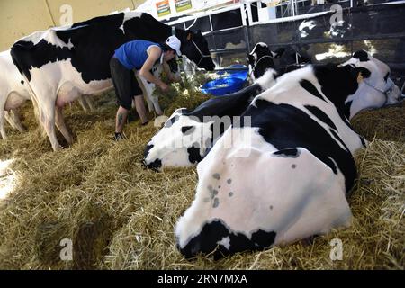 (150914) -- MONTEVIDEO, 13 settembre 2015 -- un espositore alimenta le mucche durante la 110a Expo Prado 2015 presso la zona espositiva Rural del Prado a Montevideo, capitale dell'Uruguay, il 13 settembre 2015. L'expo, con una storia di oltre un secolo, ha mostrato 2.500 animali di 95 razze. Nicolas Celaya) (da) (ce) URUGUAY-MONTEVIDEO-EXPO PRADO e NICOLASxCELAYA PUBLICATIONxNOTxINxCHN 150914 Montevideo il 13 settembre 2015 alle vacche espositrici durante la 110a EXPO Prado 2015 PRESSO i terreni di esposizione Rural del Prado a Montevideo capitale dell'Uruguay IL 13 settembre 2015 l'EXPO con una storia di oltre un secolo ha mostrato 2 50 Foto Stock