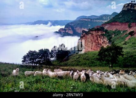 SHIJIAZHUANG, 13 settembre 2015 -- foto scattata il 13 settembre 2015 mostra una vista della valle di Jiulong sul monte Taihang nella contea di Xingtai, nella provincia di Hebei nella Cina settentrionale. ) (wyo) CHINA-HEBEI-TAIHANG MOUNTAIN-LANDSCAPE (CN) YangxShiyao PUBLICATIONxNOTxINxCHN Shijiazhuang 13 settembre 2015 foto scattata IL 13 settembre 2015 mostra una vista della valle di Jiulong SULLA montagna Taihang nella contea di Xingtai nella provincia di Hebei nella Cina settentrionale wyo China Hebei Taihang Mountain Scenic CN YangxShiyao PUBLICATIONxNOTxINxCHN Foto Stock