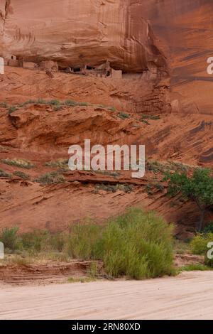 Rovine Anasazi nel Canyon del Muerto nel Canyon De Chelly National Monument - riserva indiana Navajo, Arizona Foto Stock