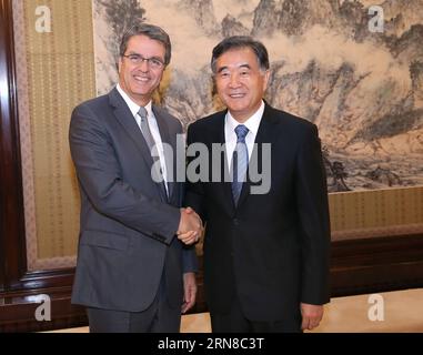 (151016) -- PECHINO, 16 ottobre 2015 -- il vice Premier cinese Wang Yang (R) incontra il direttore generale dell'OMC Roberto Azevedo a Pechino, capitale della Cina, 16 ottobre 2015. )(wjq) CHINA-BEIJING-WANG YANG-WTO-MEETING (CN) PangxXinglei PUBLICATIONxNOTxINxCHN Pechino OCT 16 2015 il vice Premier cinese Wang Yang r incontra il direttore generale dell'OMC Roberto Azevedo a Pechino capitale cinese Ott 16 2015 wjq Cina Pechino Wang Yang riunione OMC CN PangxXinglei PUBLICATIONXNOTxINxCHN Foto Stock