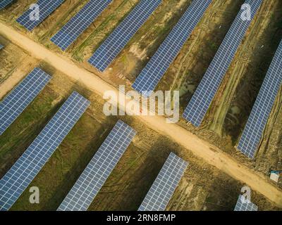 (151022) -- CHANGXING, 22 ottobre 2015 -- foto aerea scattata il 22 ottobre 2015 mostra il più grande progetto fotovoltaico in agricoltura nella contea di Changxing, nella provincia dello Zhejiang nella Cina orientale. Con un'area di 1.460 mu (97 ettari), il progetto da 30 megawatt ha condotto la sua operazione di prova alla fine di ottobre. Mentre i pannelli fotovoltaici sono utilizzati per la generazione di elettricità, i terreni sottostanti sono utilizzati per la coltivazione di colture da reddito. Si stima che nella contea di Changxing saranno ridotte ogni anno circa 10.000 tonnellate di carbone standard e 28.000 tonnellate di emissioni di anidride carbonica. ) (DHF) CHINA-ZHEJIANG-AGRICULTURE-BIGGEST Foto Stock