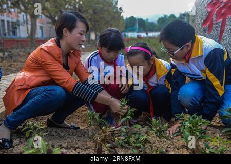 (151022) -- CHANGXING, 22 ottobre 2015 -- Un insegnante insegna agli studenti come raccontare la medicina erboristica nella scuola elementare Baixian nella contea di Changxing, nella provincia dello Zhejiang nella Cina orientale. Situata in un villaggio di montagna, la scuola elementare Baixian cresce oltre 130 tipi di erboristeria nel suo giardino di 5.000 metri quadrati, che caratterizza la medicina erboristica nell'educazione. (dhf) CHINA-ZHEJIANG-PRIMARY SCHOOL-HERBAL MEDICINE EDUCATION (CN) XuxYu PUBLICATIONxNOTxINxCHN Chang Xing OCT 22 2015 un insegnante insegna agli studenti come dire la medicina delle erbe nella scuola primaria di Chang Xing County East China S Zhejiang Province Loc Foto Stock