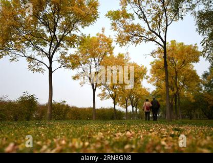 Li Chang e sua moglie Zhang Guiqin passeggiano in un parco a Taiyuan, capitale della provincia dello Shanxi della Cina settentrionale, 21 ottobre 2015. L'ingegnere cinese in pensione li Chang, un grande collezionista di prodotti meccanici antichi, sta ora progettando di raccogliere fondi su Internet per realizzare una promessa fatta a sua moglie. Li Chang sposò sua moglie, Zhang Guiqin, nel 1958 e fece la promessa durante il loro anniversario di nozze d'oro. Li Chang possiede una calcolatrice meccanica Brunsvigr tedesca della seconda guerra mondiale in buone condizioni. Di recente li Chang ha pubblicato un annuncio per vendere la calcolatrice tramite Wechat, uno dei più pop cinesi Foto Stock