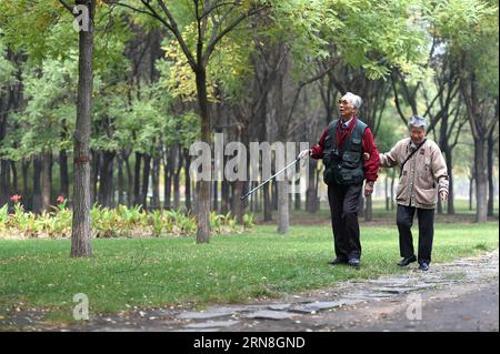 Li Chang e sua moglie Zhang Guiqin passeggiano in un parco a Taiyuan, capitale della provincia dello Shanxi della Cina settentrionale, 21 ottobre 2015. L'ingegnere cinese in pensione li Chang, un grande collezionista di prodotti meccanici antichi, sta ora progettando di raccogliere fondi su Internet per realizzare una promessa fatta a sua moglie. Li Chang sposò sua moglie, Zhang Guiqin, nel 1958 e fece la promessa durante il loro anniversario di nozze d'oro. Li Chang possiede una calcolatrice meccanica Brunsvigr tedesca della seconda guerra mondiale in buone condizioni. Di recente li Chang ha pubblicato un annuncio per vendere la calcolatrice tramite Wechat, uno dei più pop cinesi Foto Stock