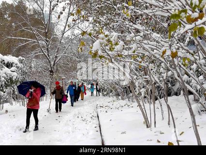 (151124) -- ZHENGZHOU, Nov. 24, 2015 -- People walk in snow at a park in Zhengzhou, capital of central China s Henan Province, Nov. 24, 2015. Most parts of the province witnessed a snowfall on Monday and Tuesday. ) (ry) CHINA-HENAN-ZHENGZHOU-SNOWFALL (CN) LixAn PUBLICATIONxNOTxINxCHN   151124 Zhengzhou Nov 24 2015 Celebrities Walk in Snow AT a Park in Zhengzhou Capital of Central China S Henan Province Nov 24 2015 Most Parts of The Province witnessed a snowfall ON Monday and Tuesday Ry China Henan Zhengzhou snowfall CN LixAn PUBLICATIONxNOTxINxCHN Foto Stock