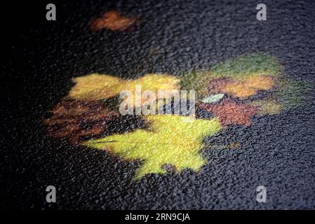 (151129) -- PECHINO, 29 novembre 2015 -- le foglie sono congelate in acqua dopo una nevicata a Jinan, capitale della provincia dello Shandong della Cina orientale, 25 novembre 2015. Onde fredde hanno attraversato una vasta area della Cina dalla scorsa domenica. Scelte settimanali di Xinhua Photo: Icy China ZhaoxXiaoming PUBLICATIONxNOTxINxCHN 151129 Pechino Nov 29 2015 le foglie sono congelate in acqua dopo una nevicata a Jinan capitale della provincia di Shan Dong della Cina orientale Nov 25 2015 le onde fredde hanno attraversato una vasta area della Cina da Load Sunday Weekly Choices of XINHUA Photo Icy China ZhaoxXiaoming PUBLICATIONxNOTxINxCHN Foto Stock