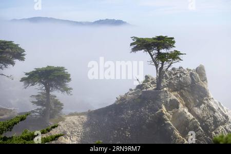(151217) -- CALIFORNIA, Dec. 17, 2015 -- Photo taken in September 2013 shows the famous Lone Cypress view on 17-Mile Drive in California, the United States. 17-Mile Drive is widely recognized as one of the most scenic drives in the world. The famous coastal landmark runs through Pacific Grove to Pebble Beach, from the dramatic Pacific coastline to the majestic Del Monte Forest.) U.S.-CALIFORNIA-17-MILE DRIVE-SCENERY YangxLei PUBLICATIONxNOTxINxCHN   151217 California DEC 17 2015 Photo Taken in September 2013 Shows The Famous Lone Cypress View ON 17 Mile Drive in California The United States 17 Foto Stock