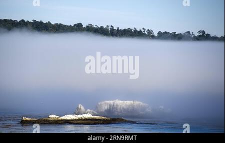 (151217) -- CALIFORNIA, 17 dicembre 2015 -- foto scattata nel maggio 2015 mostra un'isola in nebbia su 17-Mile Drive in California, Stati Uniti. La 17-Mile Drive è ampiamente riconosciuta come una delle strade più panoramiche del mondo. Il famoso punto di riferimento costiero attraversa Pacific Grove fino a Pebble Beach, dalla suggestiva costa del Pacifico alla maestosa foresta del Monte). U.S.-CALIFORNIA-17-MILE DRIVE-SCENOGRAFIA YangxLei PUBLICATIONxNOTxINxCHN 151217 California DEC 17 2015 foto scattata nel maggio 2015 mostra all'Islanda in Fog SU 17 Mile Drive in California la 17 Mile Drive degli Stati Uniti È ampiamente riconosciuta come Foto Stock