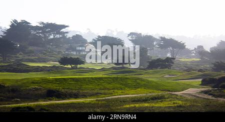 (151217) -- CALIFORNIA, 17 dicembre 2015 -- foto scattata nel settembre 2013 mostra gli alberi sulla 17-Mile Drive in California, Stati Uniti. La 17-Mile Drive è ampiamente riconosciuta come una delle strade più panoramiche del mondo. Il famoso punto di riferimento costiero attraversa Pacific Grove fino a Pebble Beach, dalla suggestiva costa del Pacifico alla maestosa foresta del Monte). U.S.-CALIFORNIA-17-MILE DRIVE-SCENARIOS YangxLei PUBLICATIONxNOTxINxCHN 151217 California DEC 17 2015 foto scattata nel settembre 2013 mostra gli alberi SULLA 17 Mile Drive in California la 17 Mile Drive degli Stati Uniti È ampiamente riconosciuta come una delle Foto Stock