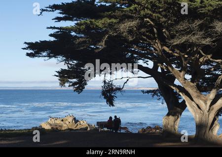 (151217) -- CALIFORNIA, 17 dicembre 2015 -- la foto scattata nel settembre 2013 mostra una coppia seduta sul mare a Monterey, dove è il punto di partenza di 17-Mile Drive in California, Stati Uniti. La 17-Mile Drive è ampiamente riconosciuta come una delle strade più panoramiche del mondo. Il famoso punto di riferimento costiero attraversa Pacific Grove fino a Pebble Beach, dalla suggestiva costa del Pacifico alla maestosa foresta del Monte). U.S.-CALIFORNIA-17-MILE DRIVE-SCENOGRAFIA YangxLei PUBLICATIONxNOTxINxCHN 151217 California DEC 17 2015 foto scattate nel settembre 2013 mostra una COPPIA seduta nel Seaside di Mo Foto Stock