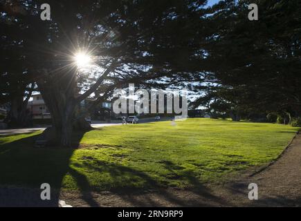 (151217) -- CALIFORNIA, 17 dicembre 2015 -- foto scattata nel settembre 2013 mostra alberi e praterie a Monterey, dove è il punto di partenza di 17-Mile Drive in California, Stati Uniti. La 17-Mile Drive è ampiamente riconosciuta come una delle strade più panoramiche del mondo. Il famoso punto di riferimento costiero attraversa Pacific Grove fino a Pebble Beach, dalla suggestiva costa del Pacifico alla maestosa foresta del Monte). U.S.-CALIFORNIA-17-MILE DRIVE-SCENIC YangxLei PUBLICATIONxNOTxINxCHN 151217 California DEC 17 2015 foto scattata nel settembre 2013 mostra alberi e prati a Monterey dove È la stella Foto Stock