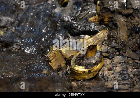 (151220) -- NANCHANG, 20 dicembre 2015 -- foto scattata il 20 dicembre 2015 mostra oggetti d'oro a forma di zoccolo rinvenuti dalla bara principale nel cimitero di Haihunhou (Marchese di Haihun), nella provincia orientale dello Jiangxi della Cina. Il coperchio esterno della bara principale nel cimitero di Haihunhou è stato aperto la domenica. Secondo gli archeologi che lavorano nel sito, le reliquie all'interno della bara principale nella tomba di Haihunhou, risalente a 2.000 anni fa, riveleranno probabilmente l'identità dell'occupante. Il cimitero di Haihunhou vicino alla città di Nanchang, capitale della provincia di Jiangxi della Cina orientale, è la più completa dinastia Han occidentale conosciuta (206 a.C. - 24 d.C.) Foto Stock