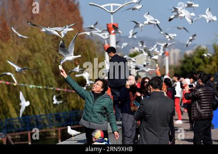 (151224) -- KUNMING, 24 dicembre 2015 -- gabbiani dalla testa nera sorvolano persone sulla riva del lago Dianchi a Kunming, capitale della provincia dello Yunnan della Cina sud-occidentale, 23 dicembre 2015. Il lago Dianchi ha attirato più di 40.000 gabbiani dalla testa nera a vivere quest'anno durante l'inverno, un record in 31 anni. ) (lfj) CHINA-YUNNAN-KUNMING-BLACK-HEAD GULLS (CN) LinxYiguang PUBLICATIONxNOTxINxCHN Kunming DEC 24 2015 Black Head Gull Fly Over Celebrities ON the Bank of the Dianchi Lake in Kunming capitale della provincia dello Yunnan della Cina sud-occidentale DEC 23 2015 il lago Dianchi ha attirato Foto Stock