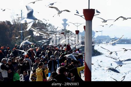 (151224) -- KUNMING, 24 dicembre 2015 -- gabbiani dalla testa nera sorvolano persone sulla riva del lago Dianchi a Kunming, capitale della provincia dello Yunnan della Cina sud-occidentale, 23 dicembre 2015. Il lago Dianchi ha attirato più di 40.000 gabbiani dalla testa nera a vivere quest'anno durante l'inverno, un record in 31 anni. ) (lfj) CHINA-YUNNAN-KUNMING-BLACK-HEAD GULLS (CN) LinxYiguang PUBLICATIONxNOTxINxCHN Kunming DEC 24 2015 Black Head Gull Fly Over Celebrities ON the Bank of the Dianchi Lake in Kunming capitale della provincia dello Yunnan della Cina sud-occidentale DEC 23 2015 il lago Dianchi ha attirato Foto Stock