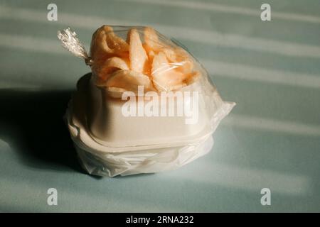 Cestino per pranzo in polistirolo Foto Stock