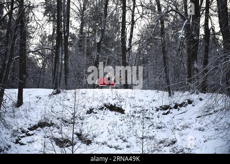 (160105) -- MOSCOW, Jan. 5, 2016 -- A woman rides a horse in Kuzminki Park, Moscow, Russia, on Jan. 5, 2016. Temperatures dipped to around minus 20 degrees Celsius during New Year holiday time. ) RUSSIA-MOSCOW-WINTER-WEATHER DaixTianfang PUBLICATIONxNOTxINxCHN   160105 Moscow Jan 5 2016 a Woman Rides a Horse in Kuzminki Park Moscow Russia ON Jan 5 2016 temperatures dipped to Around Minus 20 Degrees Celsius during New Year Holiday Time Russia Moscow Winter Weather DaixTianfang PUBLICATIONxNOTxINxCHN Stock Photo