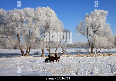 (160112) -- ALTAY, 11 gennaio 2016 -- foto scattata l'11 gennaio 2016 mostra paesaggi rime accanto al fiume Kiran, Altay, regione autonoma di Xinjiang Uygur della Cina nordoccidentale. ) (Ry) CHINA-XINJIANG-ALTAY-RIME(CN) YexErjiang PUBLICATIONxNOTxINxCHN 160112 Altay Jan 11 2016 foto scattata L'11 gennaio 2016 mostra paesaggi di Rime accanto al fiume Kiran Altay Altay regione autonoma Xinjiang Uygur della Cina nord-occidentale Ry China Xinjiang Altay Rime CN YexErjiang PUBLICATIONXNOTxINXINxCHN Foto Stock
