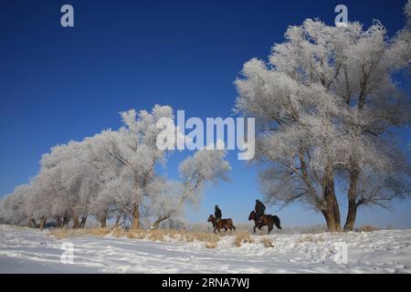 (160112) -- ALTAY, 11 gennaio 2016 -- foto scattata l'11 gennaio 2016 mostra paesaggi rime accanto al fiume Kiran, Altay, regione autonoma di Xinjiang Uygur della Cina nordoccidentale. ) (Ry) CHINA-XINJIANG-ALTAY-RIME(CN) YexErjiang PUBLICATIONxNOTxINxCHN 160112 Altay Jan 11 2016 foto scattata L'11 gennaio 2016 mostra paesaggi di Rime accanto al fiume Kiran Altay Altay regione autonoma Xinjiang Uygur della Cina nord-occidentale Ry China Xinjiang Altay Rime CN YexErjiang PUBLICATIONXNOTxINXINxCHN Foto Stock