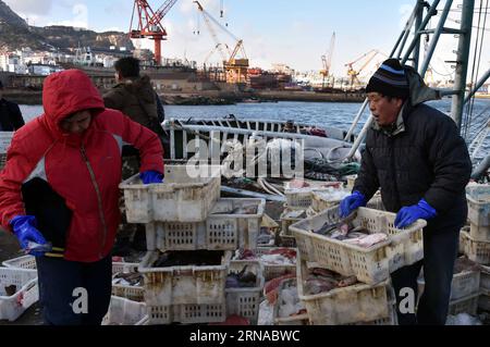 (160119) -- RONGCHENG, 19 gennaio 2016 -- i pescatori trasportano pesce appena catturato nel porto di Shidao a Rongcheng, provincia dello Shandong della Cina orientale, 19 gennaio 2016. La temperatura più bassa è scesa a meno 13 gradi Celsius il martedì. ) (wyo) CHINA-SHANDONG-RONGCHENG-FISHERY (CN) ZhuxZheng PUBLICATIONxNOTxINxCHN 160119 Rongcheng Jan 19 2016 i pescatori trasportano pesci appena catturati NEL porto di Rongcheng nella provincia di Shan Dong nella Cina orientale Jan 19 2016 la temperatura più bassa è scesa a meno 13 gradi Celsius IL martedì wyo China Shan Dong Rongcheng Fishery CN ZhuxZheng PUBLINTXINTIXINTXINCHN Foto Stock