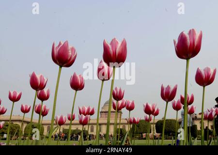 (160211) -- NEW DELHI, 10 febbraio 2016 -- foto scattata il 10 febbraio 2016 mostra fiori in fiore al Moghul Garden intorno al Palazzo Presidenziale Indiano durante un'anteprima stampa a nuova Delhi, India. Il giardino sarà aperto al pubblico dal 12 febbraio al 15 marzo). INDIA-NEW DELHI-PRESIDENTIAL PALACE GARDEN-PREVIEW Stringer PUBLICATIONxNOTxINxCHN New Delhi 10 febbraio 2016 foto scattate IL 10 febbraio 2016 mostra fiori in fiore AL Moghul Garden intorno al Palazzo Presidenziale Indiano durante una Press Preview a New Delhi India il giardino sarà aperto al pubblico dal 12 febbraio al 15 marzo India New Delhi Presidentia Foto Stock