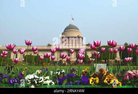 (160211) -- NEW DELHI, 10 febbraio 2016 -- foto scattata il 10 febbraio 2016 mostra fiori in fiore al Moghul Garden intorno al Palazzo Presidenziale Indiano durante un'anteprima stampa a nuova Delhi, India. Il giardino sarà aperto al pubblico dal 12 febbraio al 15 marzo). INDIA-NEW DELHI-PRESIDENTIAL PALACE GARDEN-PREVIEW Stringer PUBLICATIONxNOTxINxCHN New Delhi 10 febbraio 2016 foto scattate IL 10 febbraio 2016 mostra fiori in fiore AL Moghul Garden intorno al Palazzo Presidenziale Indiano durante una Press Preview a New Delhi India il giardino sarà aperto al pubblico dal 12 febbraio al 15 marzo India New Delhi Presidentia Foto Stock