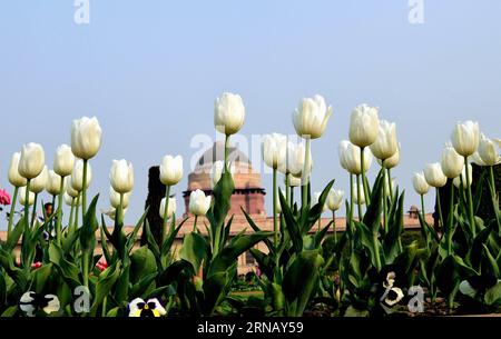 (160211) -- NEW DELHI, 10 febbraio 2016 -- foto scattata il 10 febbraio 2016 mostra fiori in fiore al Moghul Garden intorno al Palazzo Presidenziale Indiano durante un'anteprima stampa a nuova Delhi, India. Il giardino sarà aperto al pubblico dal 12 febbraio al 15 marzo). INDIA-NEW DELHI-PRESIDENTIAL PALACE GARDEN-PREVIEW Stringer PUBLICATIONxNOTxINxCHN New Delhi 10 febbraio 2016 foto scattate IL 10 febbraio 2016 mostra fiori in fiore AL Moghul Garden intorno al Palazzo Presidenziale Indiano durante una Press Preview a New Delhi India il giardino sarà aperto al pubblico dal 12 febbraio al 15 marzo India New Delhi Presidentia Foto Stock