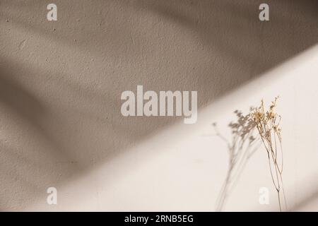Vari oggetti di scena con un'atmosfera autunnale sotto la calda luce del sole pomeridiano. Foto Stock