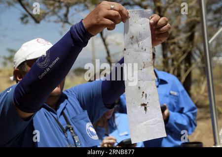 I dipendenti del Ministero della salute del Costa Rica ispezionano una trappola per combattere la zanzara Aedes aegypti, portatrice del virus Zika, durante un giorno di fumigazione per combattere la zanzara Aedes aegypti, portatrice del virus Zika, nella città di Santa Ana, provincia di San Jose, Costa Rica, il 23 febbraio, 2016. Secondo la stampa locale, il Ministero della salute della Costa Rica ha riferito lunedì il primo caso confermato autoctono di virus Zika nel paese, che è stato trovato in una donna di 24 anni, che ha 36 settimane di gestazione ed è residente nella città di Samara di Nicoya, provincia di Guanacaste nel Pacifico settentrionale Foto Stock