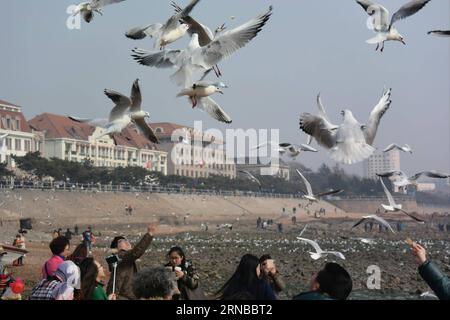 (160228) -- QINGDAO, 28 febbraio 2016 -- i turisti interagiscono con i gabbiani marini sul mare a Qingdao, provincia dello Shandong della Cina orientale, 26 febbraio 2016. ) (Yxb) CHINA-QINGDAO-SEA GULL(CN) FengxJie PUBLICATIONxNOTxINxCHN Qingdao febbraio 28 2016 i turisti interagiscono con il gabbiano marino SUL lungomare di Qingdao nella provincia di Shan Dong della Cina orientale febbraio 26 2016 yxb Cina Qingdao Sea GULL CN FengxJie PUBLICATIONTxINxCHN Foto Stock