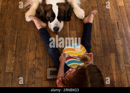 St Bernard Dog siede sul pavimento con una bambina che implorava il cibo Foto Stock