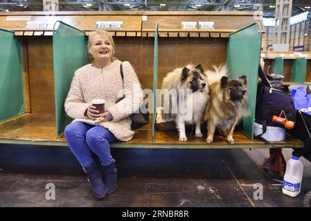A woman sits with her dogs at the Crufts Dog Show in Birmingham, Britain, March 10, 2016. The annual four-day event, opened on Thursday, is one of the largest in the world. ) BRITAIN-BIRMINGHAM-CRUFTS DOG SHOW RayxTang PUBLICATIONxNOTxINxCHN   a Woman sits With her Dogs AT The Crufts Dog Show in Birmingham Britain March 10 2016 The Annual Four Day Event opened ON Thursday IS One of The Largest in The World Britain Birmingham Crufts Dog Show RayxTang PUBLICATIONxNOTxINxCHN Stock Photo