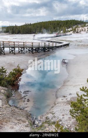 Natural hot spring pools next to wooden walkways in Yellowstone NP Foto Stock