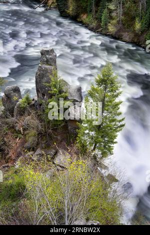 Vista dall'angolo basso delle cascate di Upper Mesa con parte della foresta in th Foto Stock