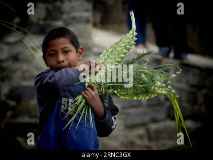 (160320) -- CITTÀ DEL MESSICO, 20 marzo 2016 -- Un ragazzo tiene un ramo di palma in occasione della domenica delle Palme, nell'ambito della settimana Santa, a città del Messico, capitale del Messico, il 20 marzo 2016. Jorge R¨ªos) (jp) (fnc) MESSICO-CITTÀ DEL MESSICO-SETTIMANA SANTA e JorgexR¨ªosxponce PUBLICATIONxNOTxINxCHN città del Messico 20 marzo 2016 un ragazzo tiene una filiale di Palme IN occasione della domenica delle Palme nel QUADRO della settimana Santa a città del Messico capitale del Messico IL 20 marzo 2016 Jorge JP FNC Messico settimana Santa di città del Messico e PUBLICAZIONExNOTxINxCHN Foto Stock