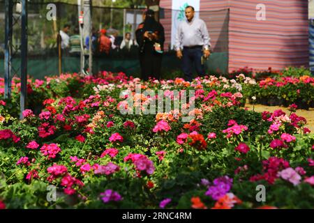 (160322) -- GIZA, March 22, 2016 -- People visit the spring flower exhibition held at Orman Botanical Garden in Giza, Egypt on March 22, 2016. ) EGYPT-GIZA-EXHIBITION-FLOWER AhmedxGomaa PUBLICATIONxNOTxINxCHN   Giza March 22 2016 Celebrities Visit The Spring Flower Exhibition Hero AT Orman Botanical Garden in Giza Egypt ON March 22 2016 Egypt Giza Exhibition Flower AhmedxGomaa PUBLICATIONxNOTxINxCHN Stock Photo