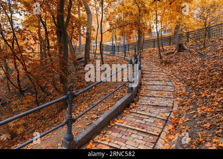Bella strada tortuosa nel parco autunnale. Autunno panoramico nel parco cittadino Foto Stock