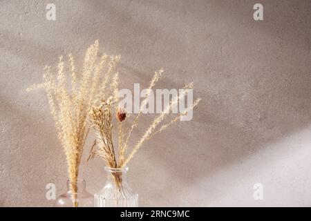 Vari oggetti di scena con un'atmosfera autunnale sotto la calda luce del sole pomeridiano. Foto Stock