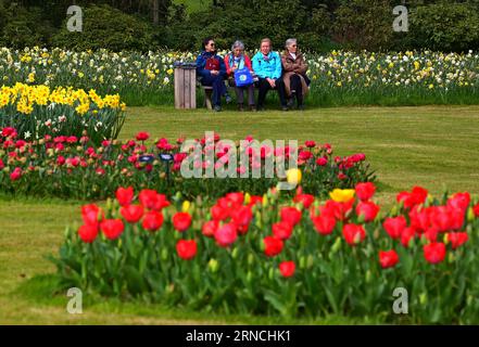 BRUSSELS, April 12, 2016 -- Visitors sit by the flowers during the Floralia Brussels, an international flower fair held in Groot-Bijgaarden Castle, west suburb of Brussels, Belgium, April 12, 2016. Over 1.7 million plants of some 550 flower species are displayed during the Floralia Brussels, which runs from April 6 to May6. ) (lyi) BELGIUM-BRUSSELS-FLORALIA GongxBing PUBLICATIONxNOTxINxCHN   Brussels April 12 2016 Visitors Sit by The Flowers during The Floralia Brussels to International Flower Fair Hero in Groot Bijgaarden Castle WEST suburb of Brussels Belgium April 12 2016 Over 1 7 Million P Foto Stock